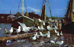 Previous Card