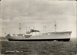M/S Havorn