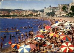 Previous Card