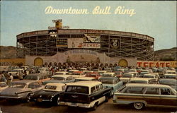 Downtown Bull Ring