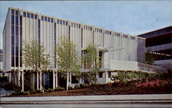 Previous Card