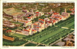 Previous Card