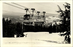Mt. Hood Skiway Bus