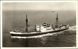 M. S. Sarpedon
