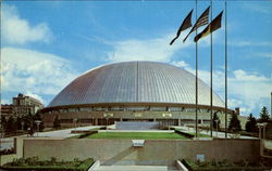 Previous Card