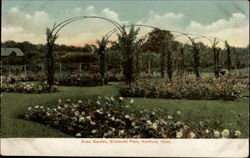Rose Garden, Elizabeth Park