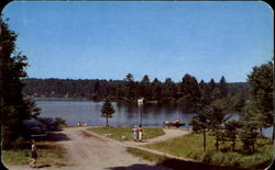 Previous Card