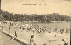 Dane Street Beach