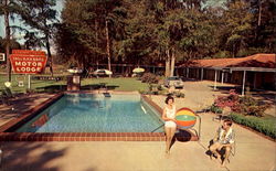 Tallahassee Motor Lodge, U. S. 90 near Florida State University Tallahassee Motor Lodge, U. S. 90 near Florida State University