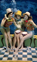 The Mermaids Of Weeki Wachee The Mermaids Of Weeki Wachee