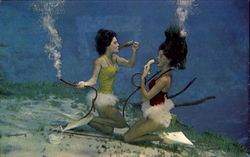 Spring Of The Mermaids Spring Of The Mermaids