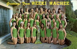 Greetings From Weeki Wachee Greetings From Weeki Wachee