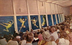 Weeki Wachee Springs Weeki Wachee Springs