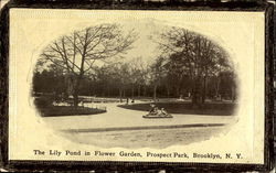 The Lily Pond In Flower Garden, Prospect Park The Lily Pond In Flower Garden, Prospect Park