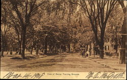 View Of Dexter Training Grounds