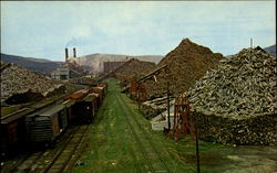 Pulpwood Piles