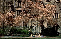 Springtime In Branford College Courtyard, Yale University