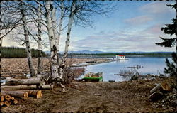 Log Boom