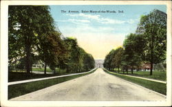 The Avenue Postcard