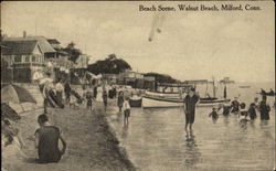 Walnut Beach Scene, Walnut Be Walnut Beach Scene, Walnut Be