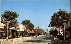 The Pomona Mall
