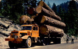 Logging Truck Logging Truck