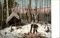 Making Camp In The Maine Woods Making Camp In The Maine Woods