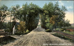 Annisquam Willows Annisquam Willows