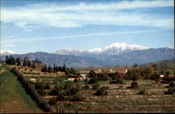 Majestic Snow-Capped Mt. Baldy