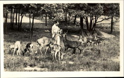 Catskill Game Farm Inc Catskill Game Farm Inc