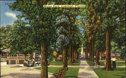 Munn Park Munn Park