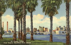 Tropical Man-Made Davis Islands