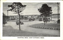 Hospital Area
