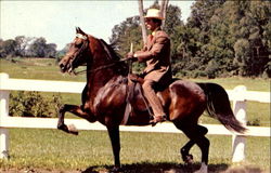 Previous Card