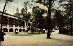 Coliseum And Grove Coliseum And Grove
