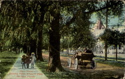 Clara Street