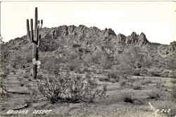 Arizona Desert