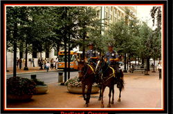 Portland's Mounted Police