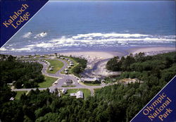 Previous Card