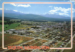Previous Card