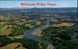 Previous Card
