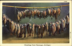 Greetings From Newaygo