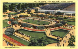 Previous Card