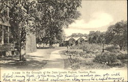 In The Grounds Of The State Lunatic Asylum