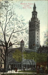 Madison Square Garden