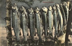 Speckled Beauties