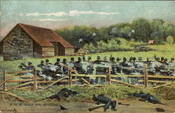 At The Mcpherson Barn