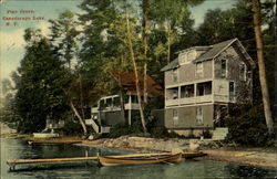 Pine Grove