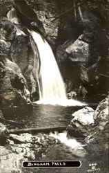 Bingham Falls