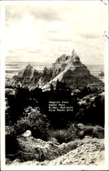 Previous Card